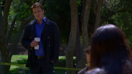 Castle: 3×4