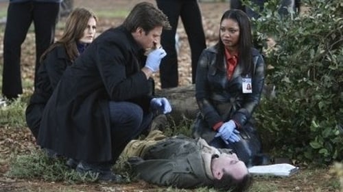 Castle: 3×8