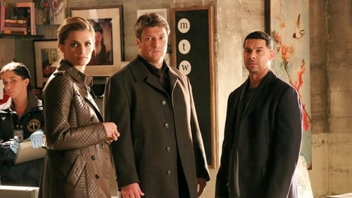 Castle: 5×17