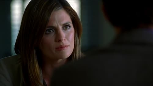 Castle: 3×1