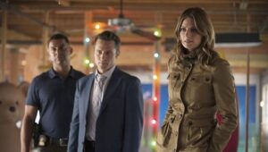 Castle: 7×2