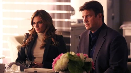 Castle: 6×9